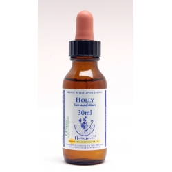  Houx  (Holly)  -  Jalousie 10ml