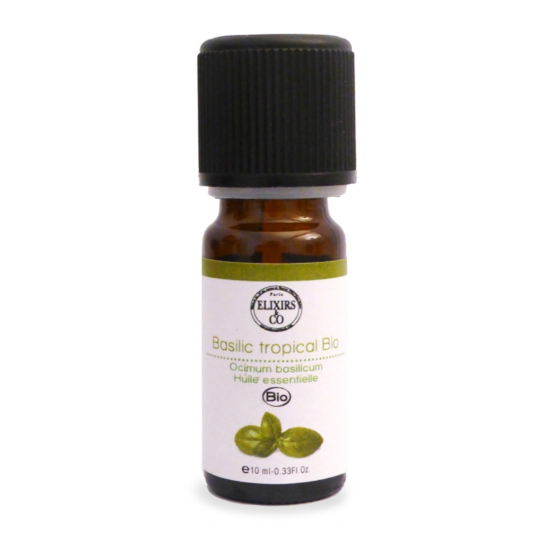 Basilic Méthylchavicol Bio Basilic Méthylchavicol Bio