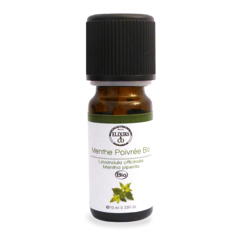 Menthe poivrée Bio Menthe poivrée Bio