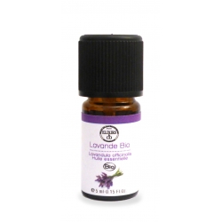 Lavande officinale Bio
