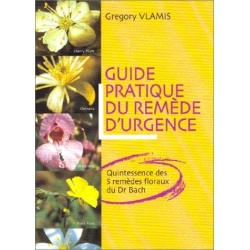  Guide  pratique  du  remède  d'2  -  Gregory  Vlamis 