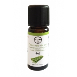 Citronnelle de Java bio