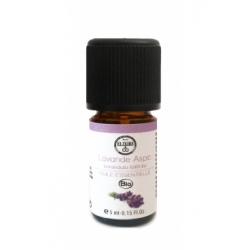 Lavande officinale Bio
