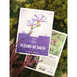 Livre Fleurs de Bach aux éditions Marie-Claire