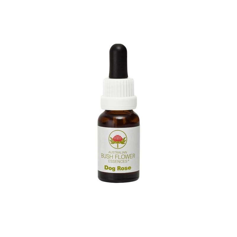 Dog rose - Peurs Dog rose - Peurs