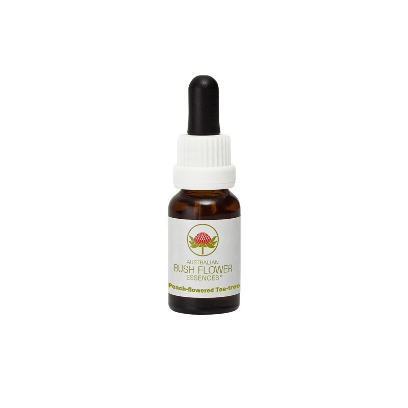 Peach-flowered tea tree - Humeur changeante Peach-flowered tea tree - Humeur changeante