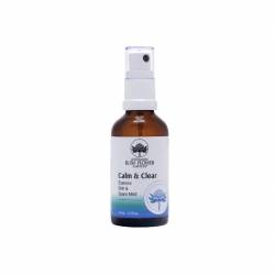 copy of Space Clearing Spray