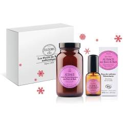 Christmas box Audace
