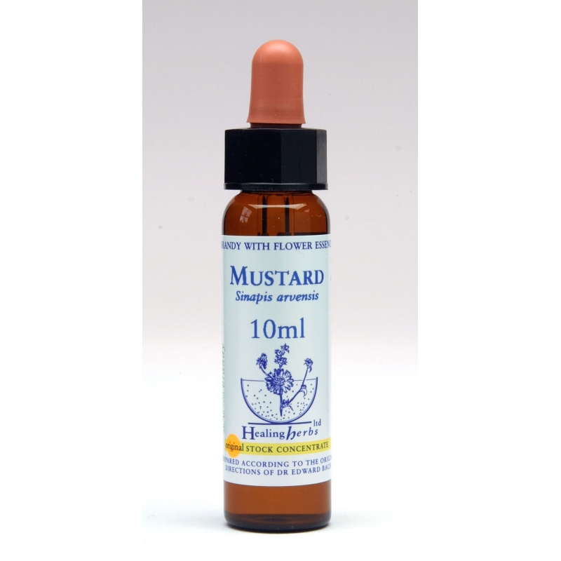  Moutarde  (Mustard)  -  Tristesse 