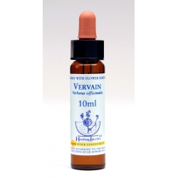  Verveine  (Vervain)  -  Exalté   