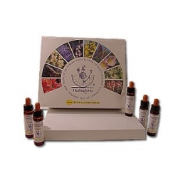  Set  complet  avec  élixirs  unitaires  10  ml 
