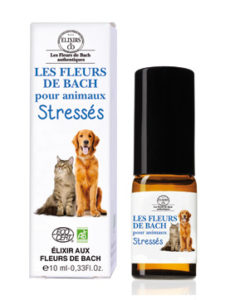 animaux-stresses