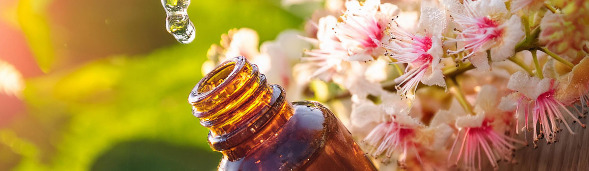 elixir-38.jpg