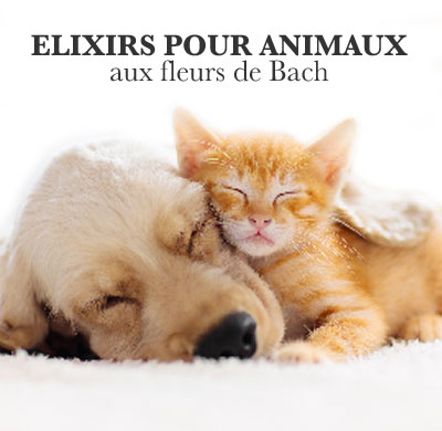 Elixirs pour animaux